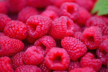 Himbeeren
