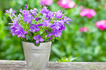 Bouquet of purple flowers in small bucket against garden full of blurred flowers © meteo021