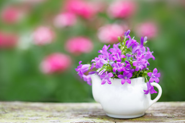 Bouquet of violet flowers in small porcelaine jug, against garden full of blurred flowers