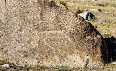 Historical rock carvings during summer inside open air museum near Cholpon-Ata , close to Issyk-Kul...