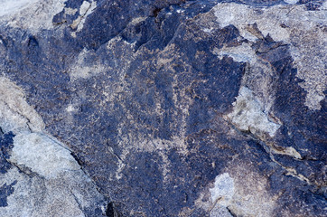 Historical rock carvings during summer inside open air museum near Cholpon-Ata , close to Issyk-Kul...