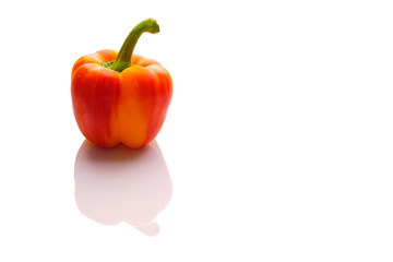Paprika rot orange mit Spiegelung als Freisteller