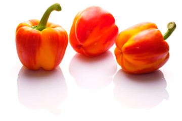 Paprika rot orange mit Spiegelung auf weiß