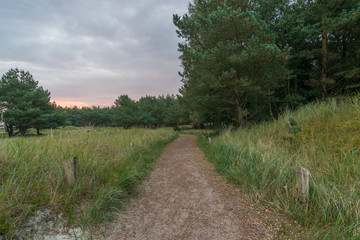 Weg in der Natur im Nationalpark auf Darss