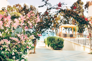 hotel patio with gazebo , with flowering shrubs by sea