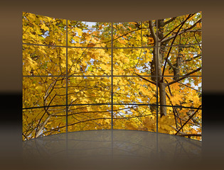 Goldener Oktober, Herbst, Ahornbaum, Collage