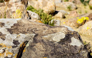 Historical rock carvings during summer inside open air museum near Cholpon-Ata , close to Issyk-Kul lake in Kyrgyzstan