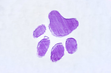 Fototapeta na wymiar A trace of a dog's paw on a white background of lilac color
