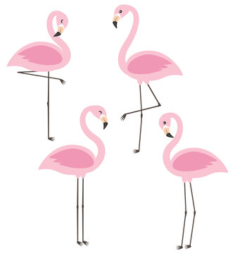 Vector set with four cute cartoon pink flamingos