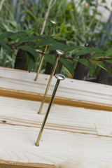 Detail auf der Baustelle - Schrauben im Balken, fertig zum reinschrauben. 