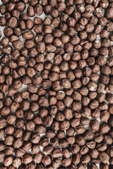 Hazelnut pattern. Flat lay, top view.