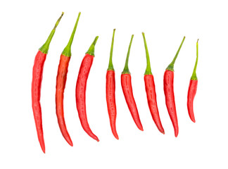 Chili pepper isolated on a white background