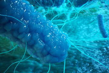 Enterobacterias Gram negativas Proteobacteria, bacteria such as salmonella, escherichia coli, yersinia pestis, klebsiella. 3D rendering.