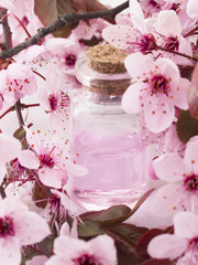 cosmetic product with spring flowers, fresh as spring concept