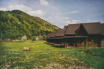 Obraz premium green dandelion field in mountains with wooden houses 2