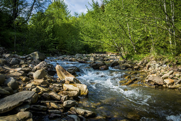 mountain river with green forest