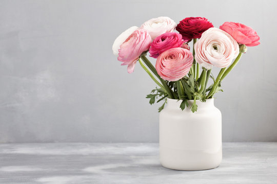Fototapeta Bouquet of pink and white ranunculus flowers over the grey wall