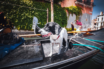 tourist Venice in Italy, sightseeings of the evening and day city