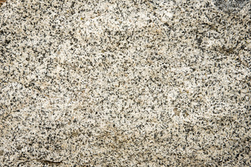 Rock surface texture with white and black dot