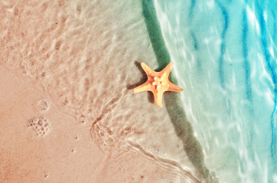 Fototapeta starfish on the summer beach in sea water.