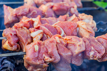 raw marinated meat bbq