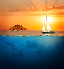 Naklejka premium Half underwater shot with shark, yacht and island