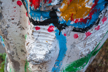 Fototapeta premium Texture of oil paint on a tree, background