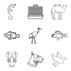 Professional veterinarian icons set, outline style