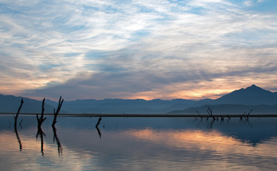 Lake Isabella sunrise with partially submerged tree trunks in Central California United States
