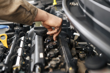 Technicians are checking car engines.