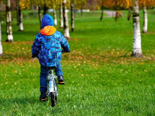 Fototapeta premium European boy is riding on the bicycle in the autumn city park. Back view.