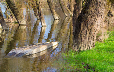 Sunken boat on the Danube