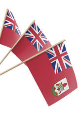 Fototapeta premium Bermuda small flags hanging, isolated on white background