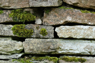 Stonewall, bricks with moss