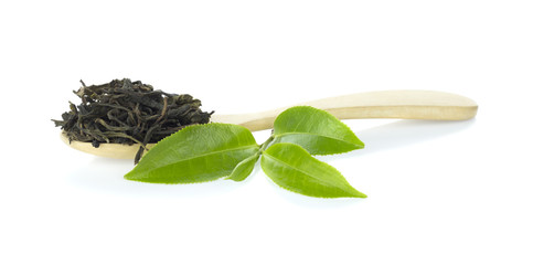 Green tea leaves with wooden spoon and Fresh green tea leaf on white background