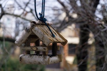 Bird feeder. Slovakia