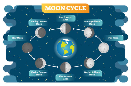 Moon phase cycle vector illustration diagram poster