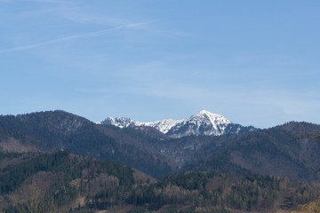 Meadow with trees and views to mountains. Slovakia