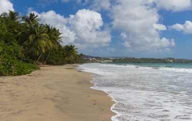 The Caribbean beach , Martinique island.