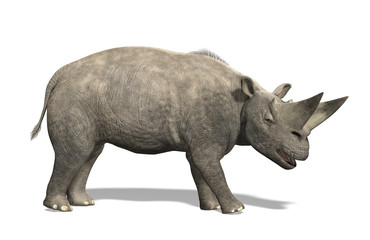 Arsinoitherium - Extinct Mammal