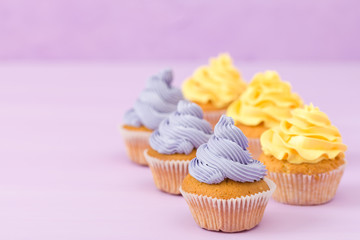 Cupcakes decorated with yellow cream on violet pastel background for greeting card with copyscape.