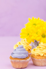 Cupcakes decorated with yellow and violet cream and chrysanthemums on violet pastel background for greeting card with copyscape.