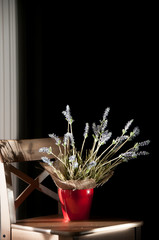Bouquet of lavender on a black background