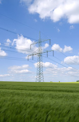 Power Lines: High-voltage power line over a growing barley field in Eastern Thuringia in springtime