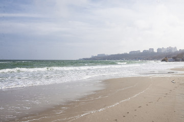 black sea in Odessa, beautiful beach and seagulls