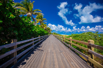 Walkway to famous South Beach, Miami Beach, Florida. USA. 