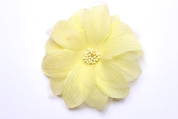 Fototapeta na wymiar Yellow flower on a white background