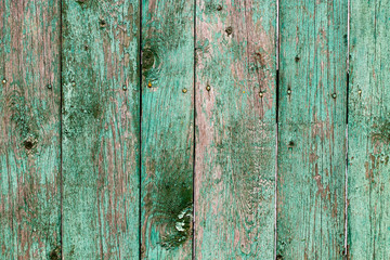 wood background texture/wooden green planks. With copy space