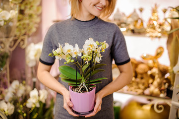 Girl holding a beautiful white orchid in pot