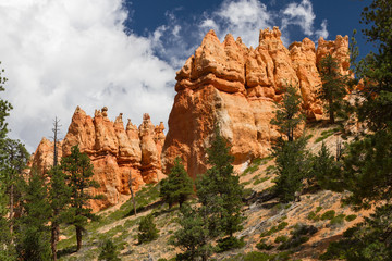 Naklejka premium Bryce Canyon 26